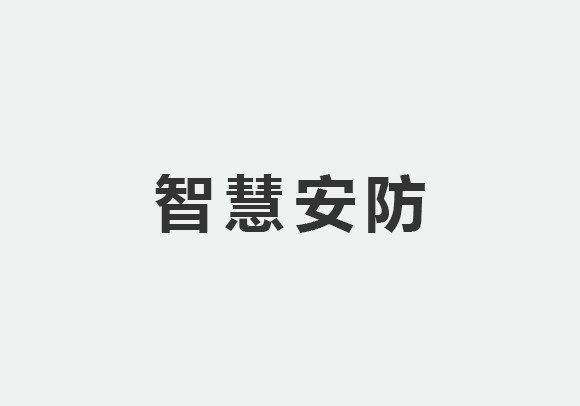 智慧安防 智慧安防